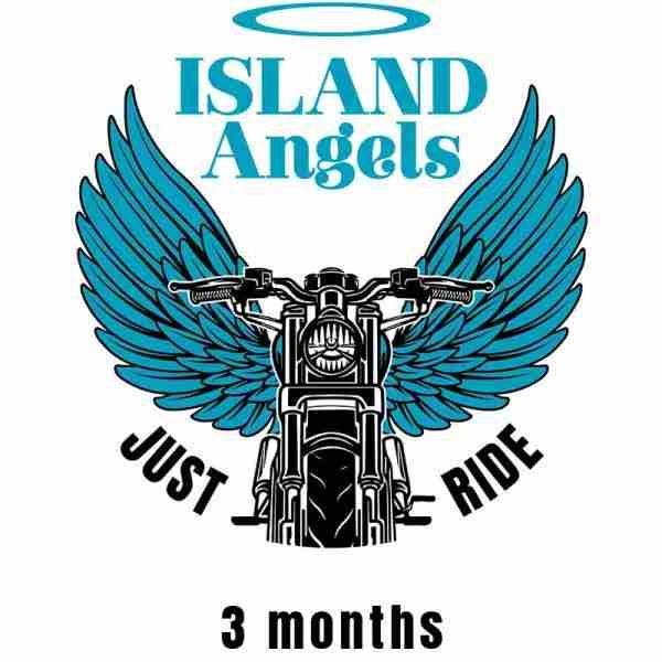 3 Months Fees